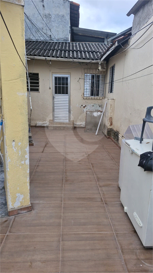 Foto REO1115486