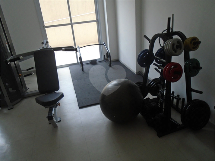Foto REO1115487