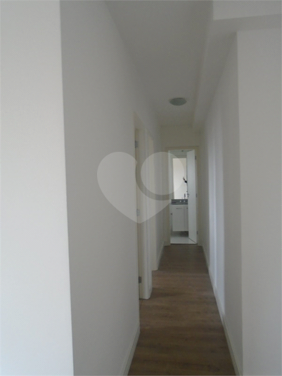 Foto REO1115487