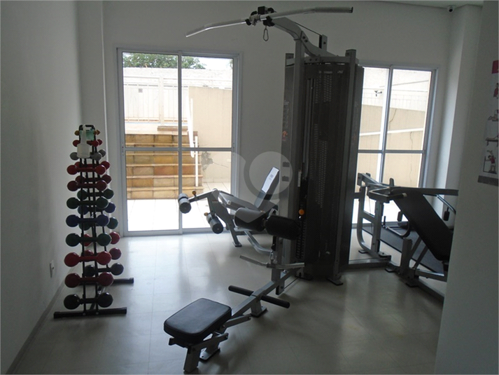 Foto REO1115487