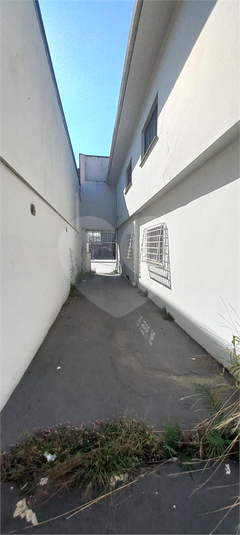 Foto REO1115493