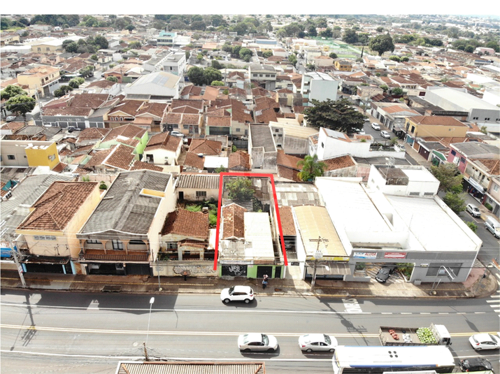 Foto REO1115494
