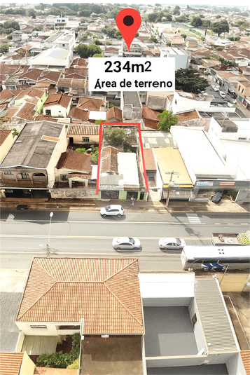 Foto REO1115494