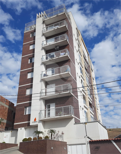 Foto REO1115495