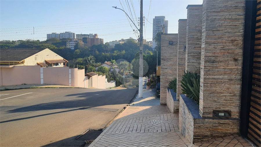 Foto REO1115498