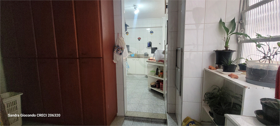 Foto REO1115502