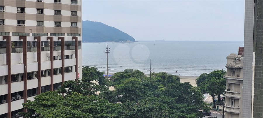 Foto REO1115506