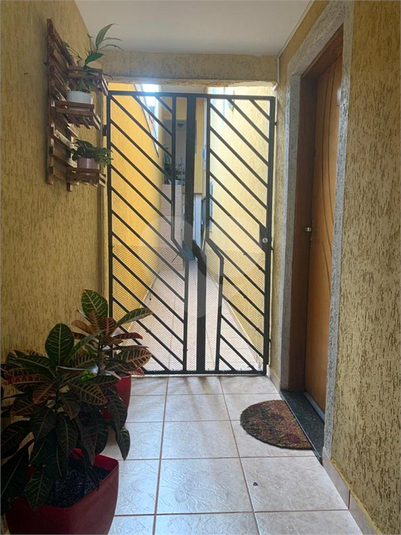 Foto REO1115508