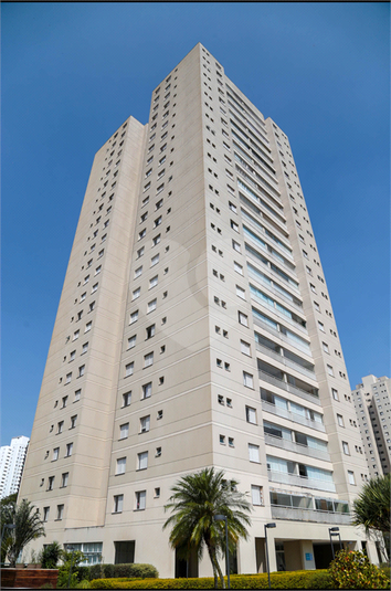 Foto REO1115515