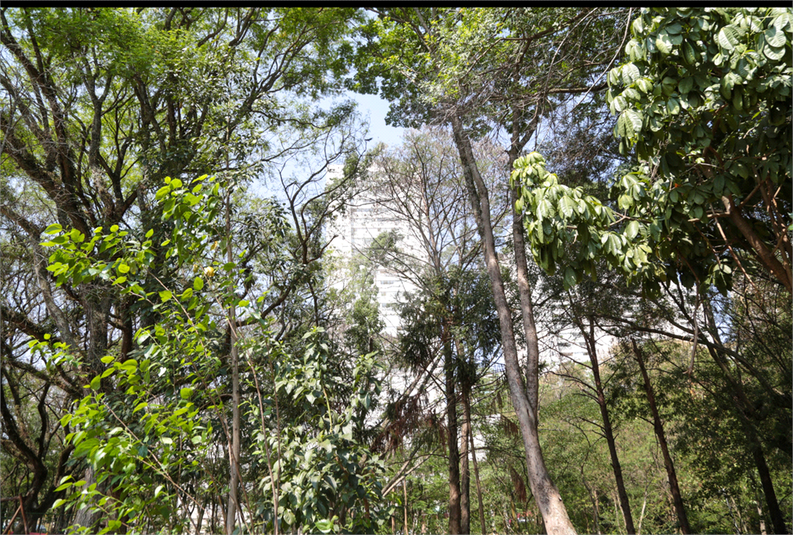Foto REO1115515
