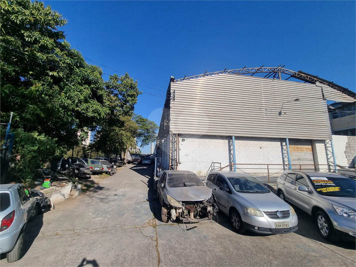 Foto REO1115522
