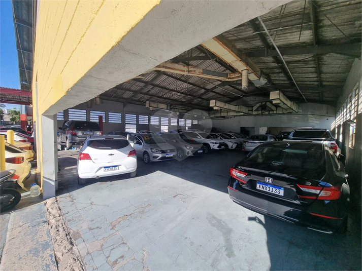 Foto REO1115522