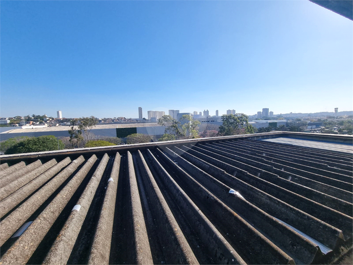 Foto REO1115522