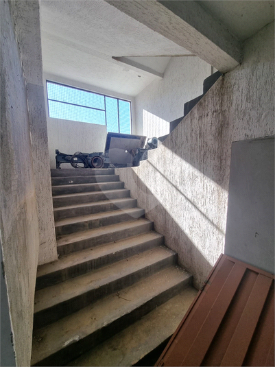 Foto REO1115522