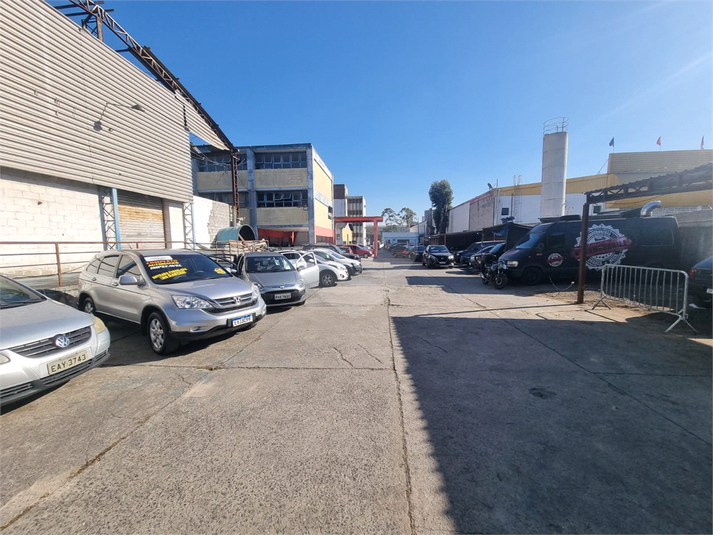 Foto REO1115522