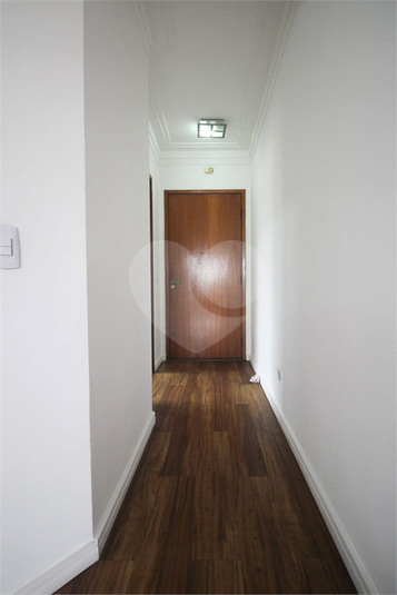 Foto REO1115526