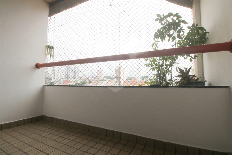 Foto REO1115526