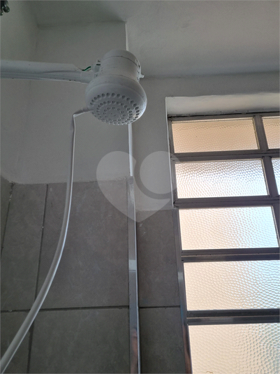 Foto REO1115546