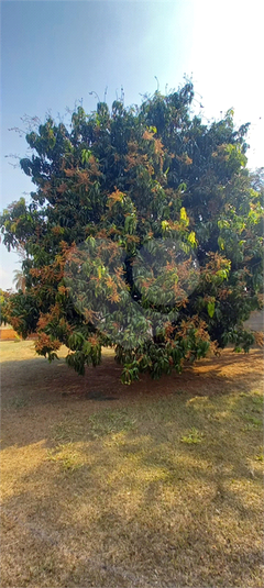 Foto REO1115559