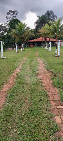 Foto REO1115559
