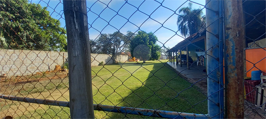 Foto REO1115559
