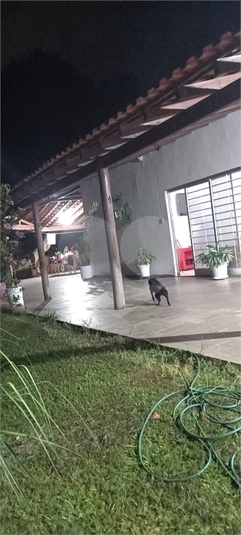 Foto REO1115559