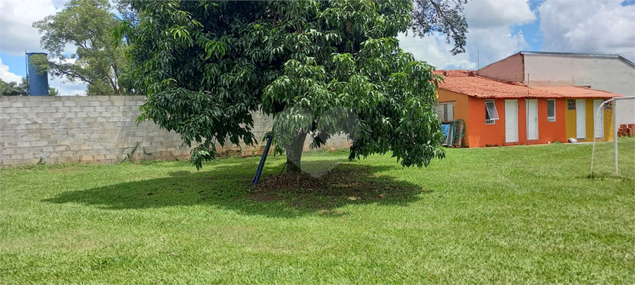 Foto REO1115559