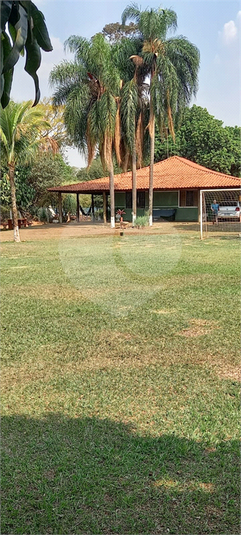 Foto REO1115559