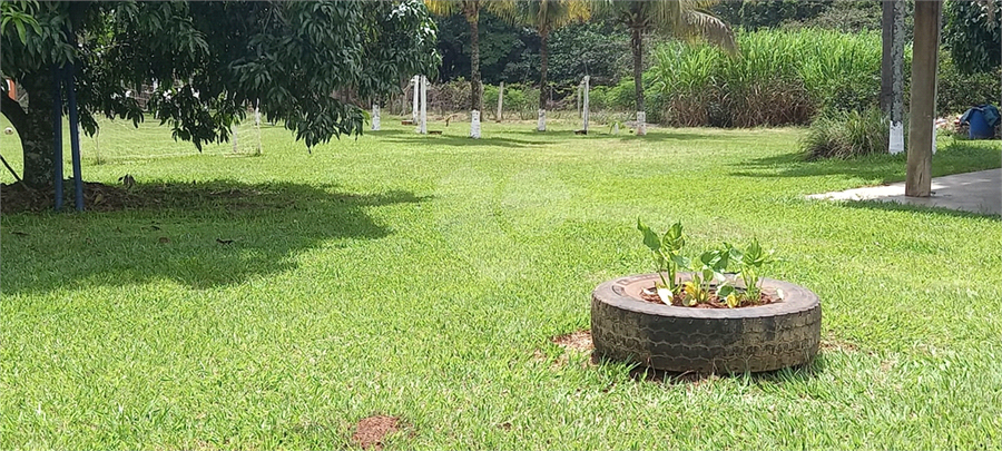 Foto REO1115559