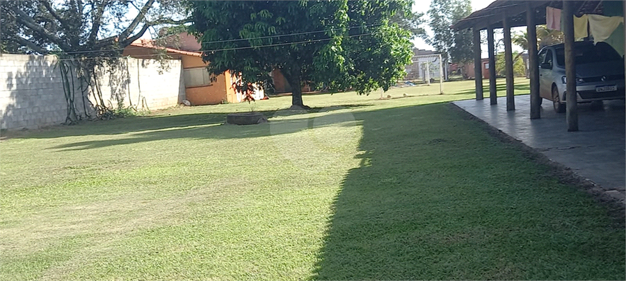 Foto REO1115559