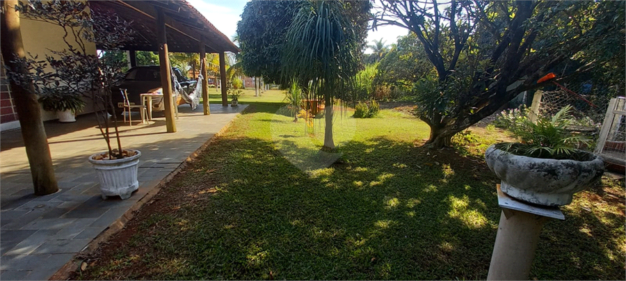 Foto REO1115559