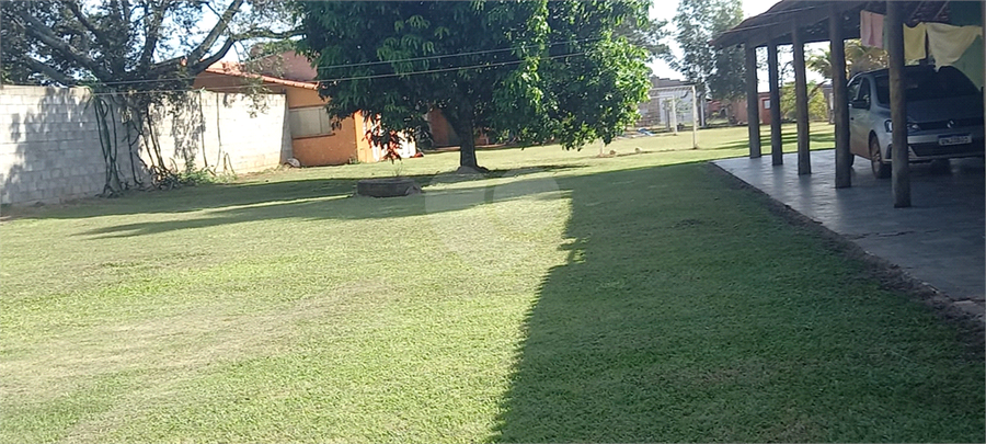 Foto REO1115559