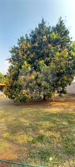Foto REO1115559