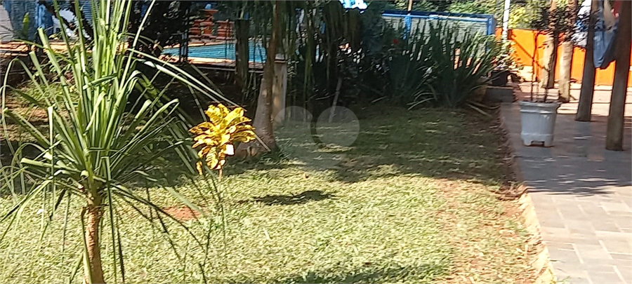 Foto REO1115559