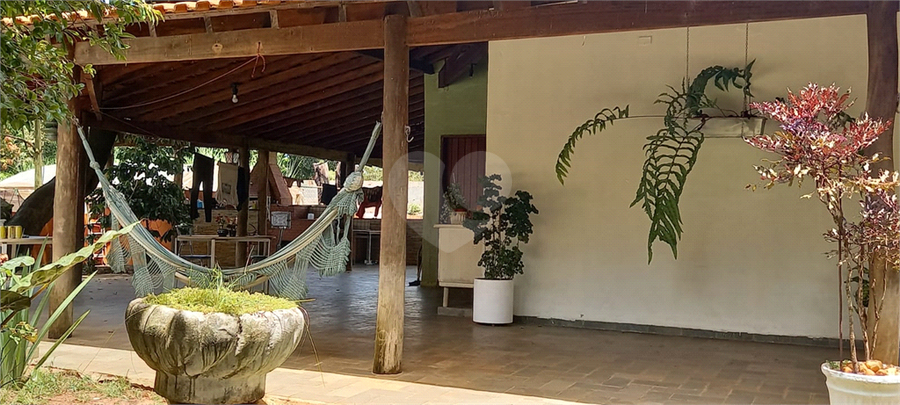 Foto REO1115559