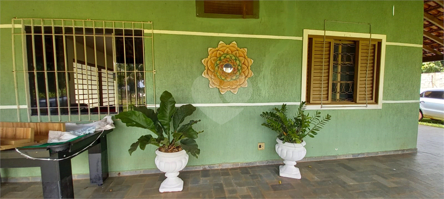 Foto REO1115559