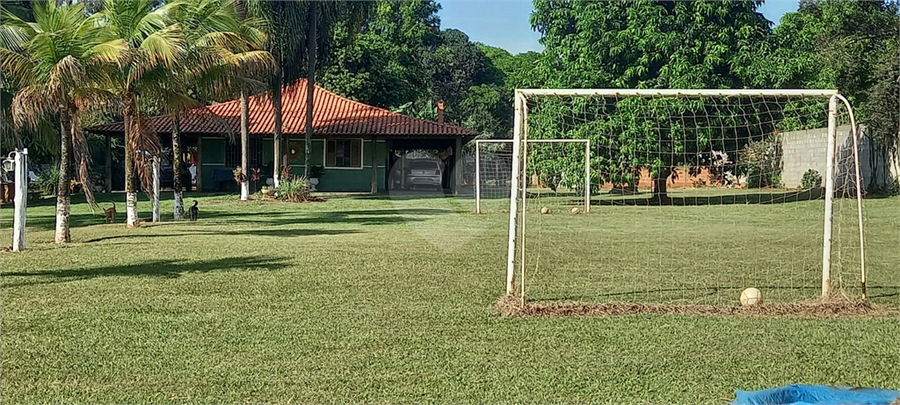 Foto REO1115559