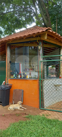 Foto REO1115559