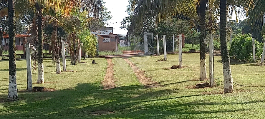 Foto REO1115559