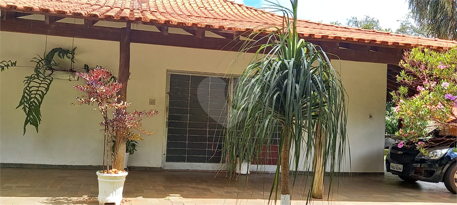 Foto REO1115559