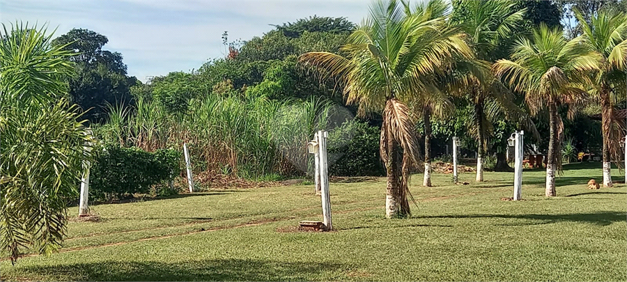 Foto REO1115559
