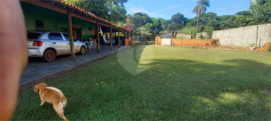Foto REO1115559