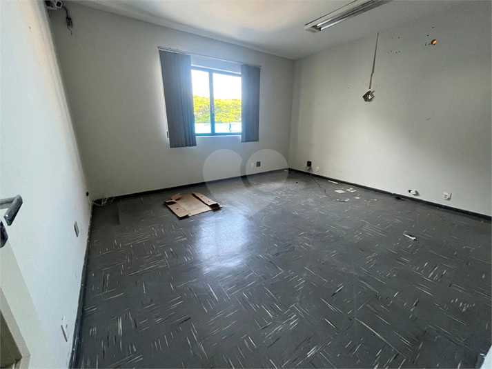 Foto REO1115574