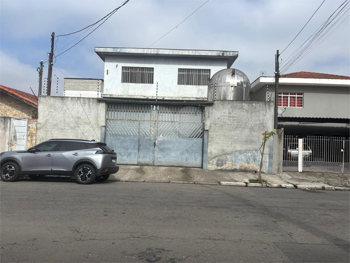 Foto REO1115575