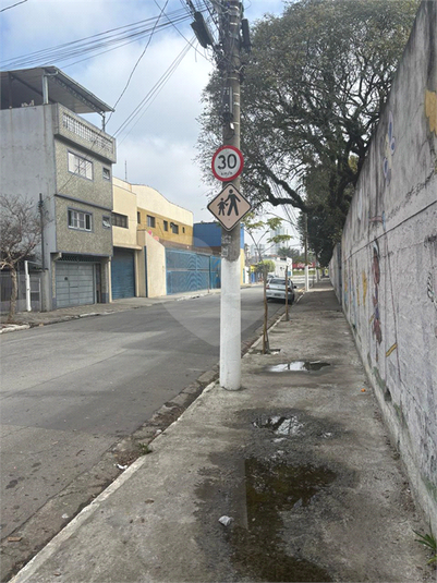 Foto REO1115575