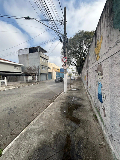 Foto REO1115575