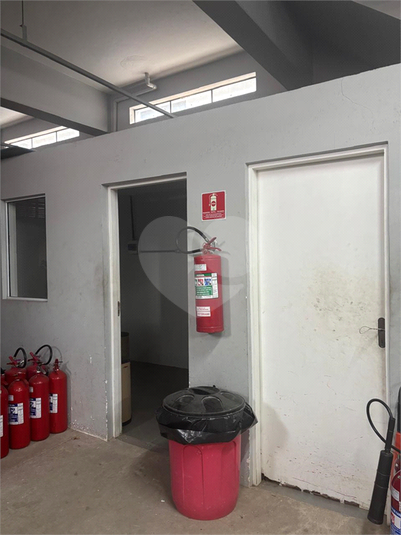 Foto REO1115575