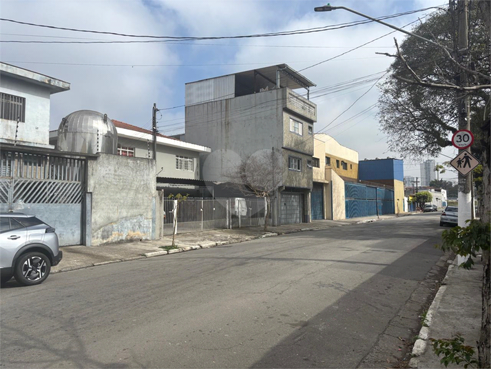 Foto REO1115575