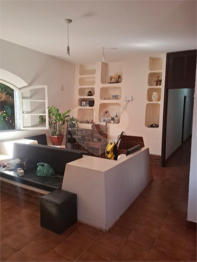 Foto REO1115592