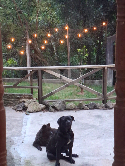 Foto REO1115594